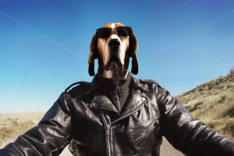 make this promo video with a funny dog riding a motorcycle