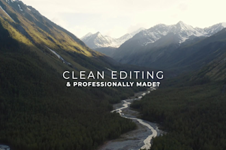 be your long term professional video editor