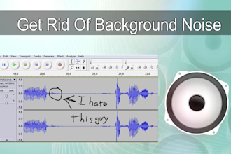 get rid of the background noise in your video or audio