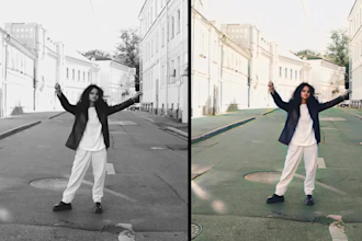 professionally colorize black and white videos