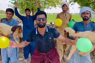do funny african happy birthday video or african happy birthday video