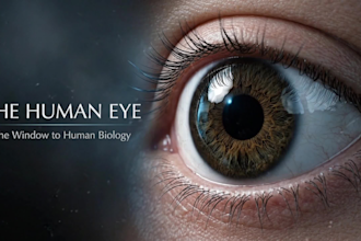 create ai medical explainer videos with 3d medical animation health video visual