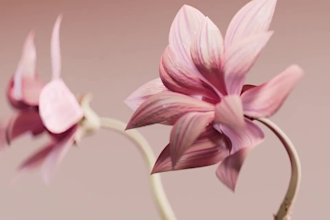 render realistic cgi plant animation, 3d plant model, flowers, trees, vfx plant