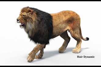 make 3d animal models with xgen fur and photorealistic rendering for animation