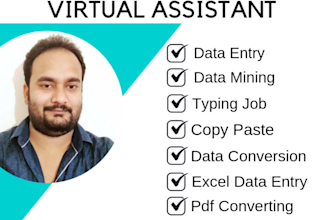 do excel data entry, data entry, web scrap