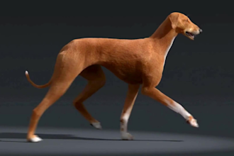 create realistic 3d animal models, rigging, and cgi animation