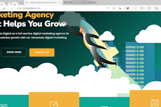 develop responsive wordpress website design or blog website, web design