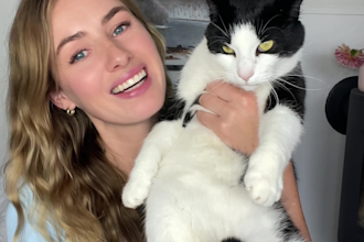 create cat ugc videos in norwegian