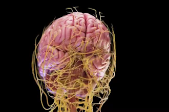 do quality 3d medical animation video and modelling,3d scientific illustration