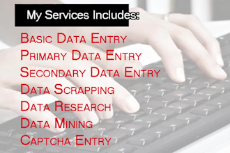 do excel data entry, PDF to excel, image to excel and copy paste