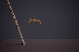 create realistic 3d animal model, 3d character model, 3d animal rigging