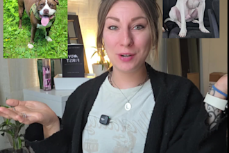 create high converting pet ugc video ads for your product