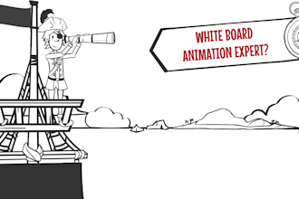 create customized low price whiteboard animation