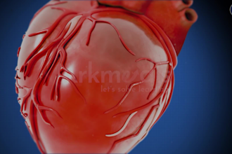 create 3d medical animation and modeling in autodesk maya