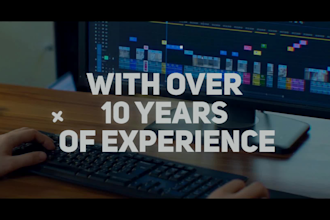 do professional video editing with in 24 hours