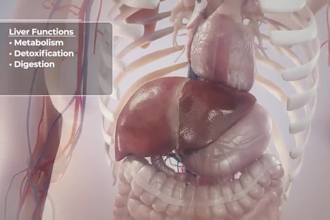 do 3d medical animation 3d medical animated explainer video 3d medical product