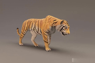 render 3d animal model an animation, 3d fur 3d xgen zbrush, character animation