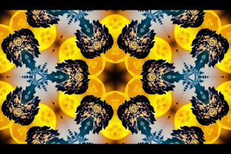 make abstract and digital patterns for textile and wallpapers
