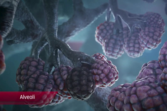 create 3d medical animation for cancer immunotherapy biotech pharmaceutical
