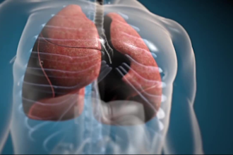 do 3d medical animation lungs respiratory cancer asthma pulmonary anatomy video