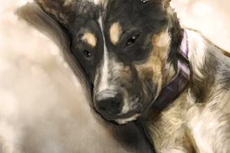 do a drawing of your dog