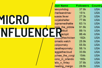 find best instagram influencer, top influencer and micro influencer