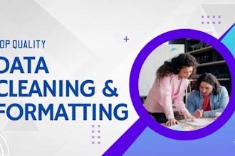deliver top quality data cleaning, merging, formatting
