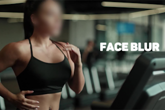 blur faces objects and sensitive information in your videos