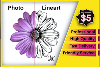 draw line art illustration from your image