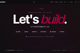 create a professional developer portfolio website
