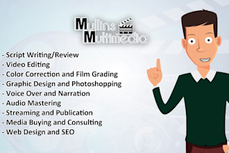 provide any type of audio visual service