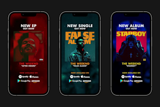 do music promo video for instagram and facebook stories