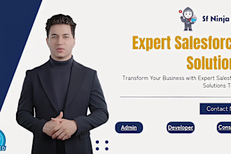 assist you as a salesforce admin, developer and consultant
