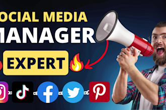 be your social media manager and profile optimizer