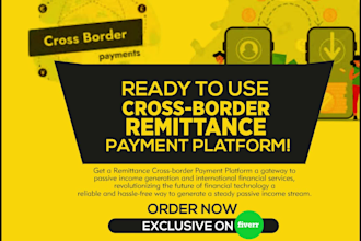 provide ready to use custom cross border remittance payment platform