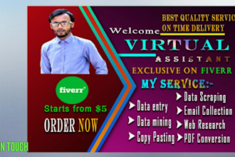 do first data entry copy paste web research email collection