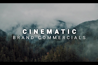 be creator for brand commercial video ads and  ad creation for vsl promo video