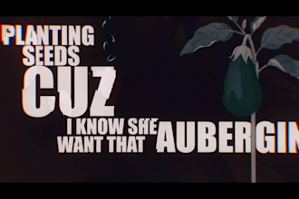 craft a professional rap lyric video