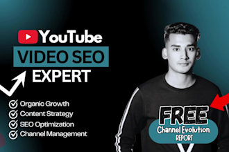 do best youtube video SEO expert optimization and channel growth manager