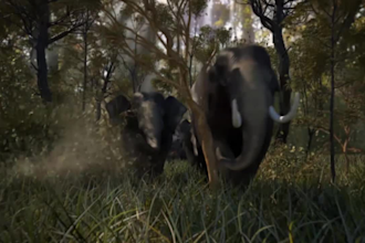 make elephant and animals logo reveal animation