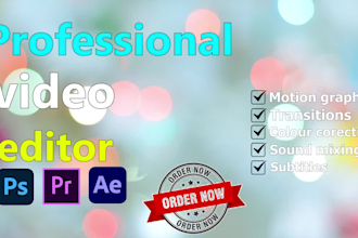 edit any video professionally in 24 hours