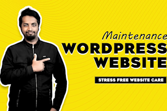provide wordpress website maintenance, update, support and help for your site