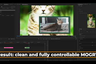 edit after effects or premiere pro templates
