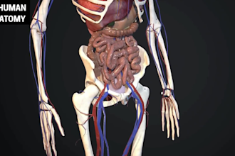 create 3d medical video human anatomy 3d biotech pharma explainer moa animation