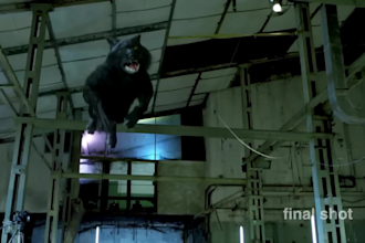 add a realistic cgi animal into your video with vfx compositing, 3d animal