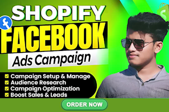 setup facebook and instagram ads campaign, run shopify fb, meta advertising