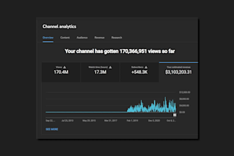 provide full youtube automation and channel management