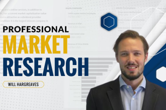 provide professional market research and analysis