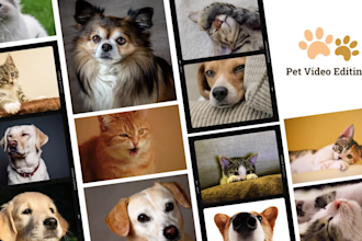make funny viral cat dog pet videos for your moments memorable