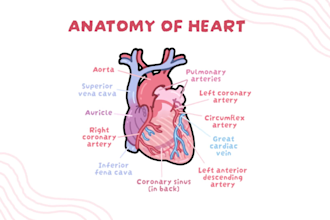 create cute kawaii medical illustration for you in procreate